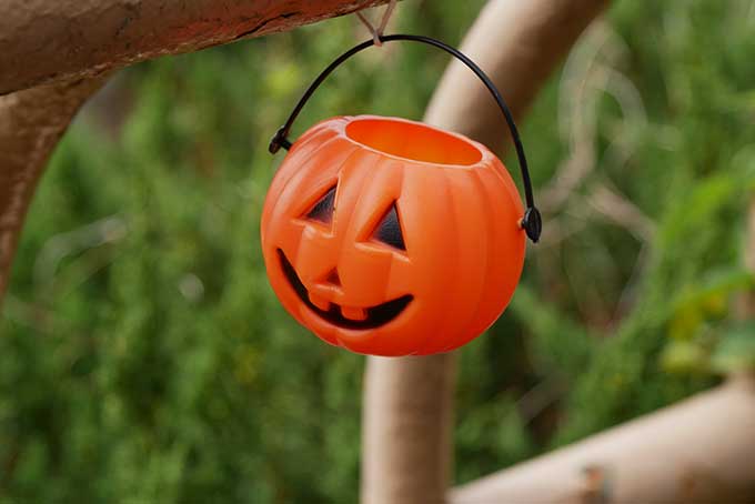 ハロウィンのカボチャ