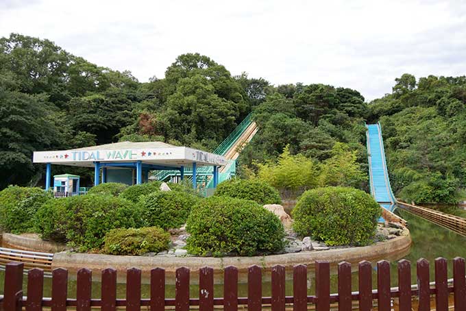 タイダルウェーブを発見