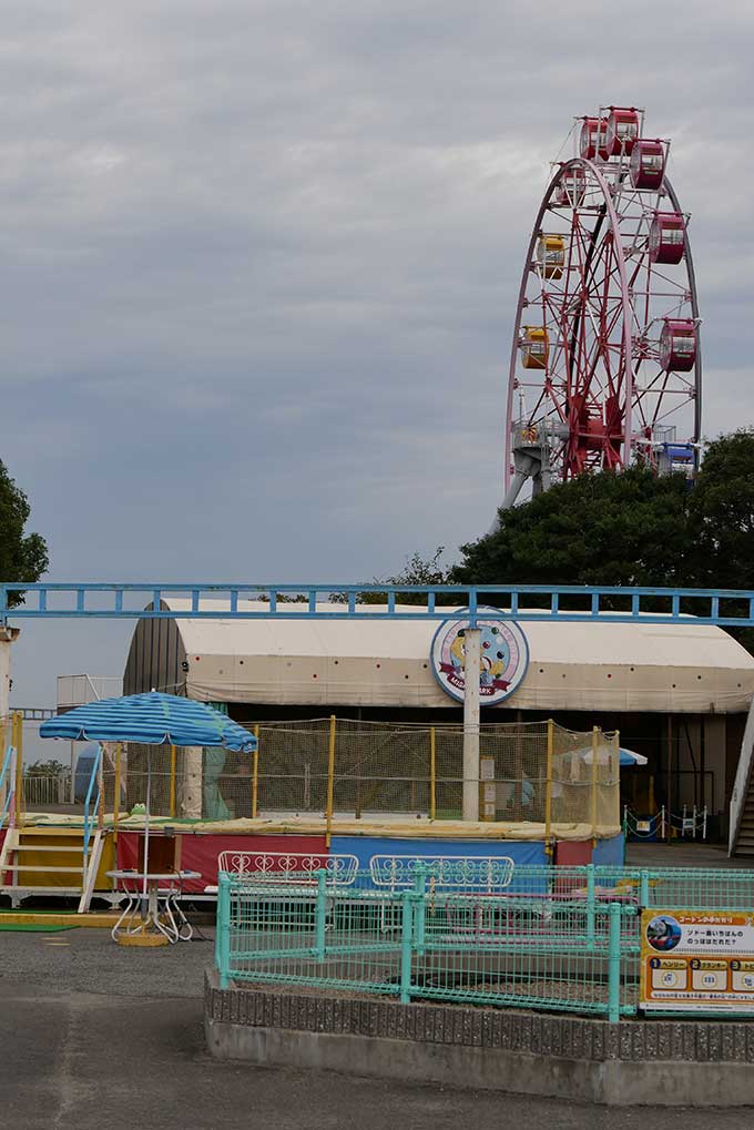 観覧車が見えます