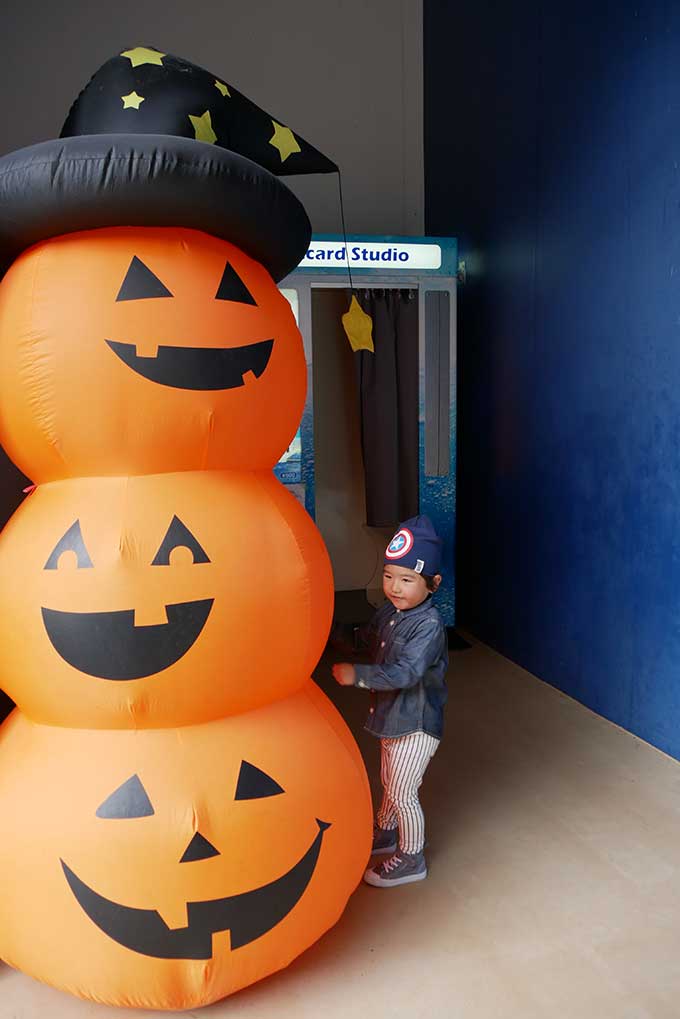 ハロウィンの装飾!!