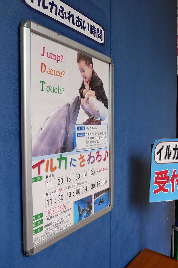 イルカにさわろう!の申し込み所