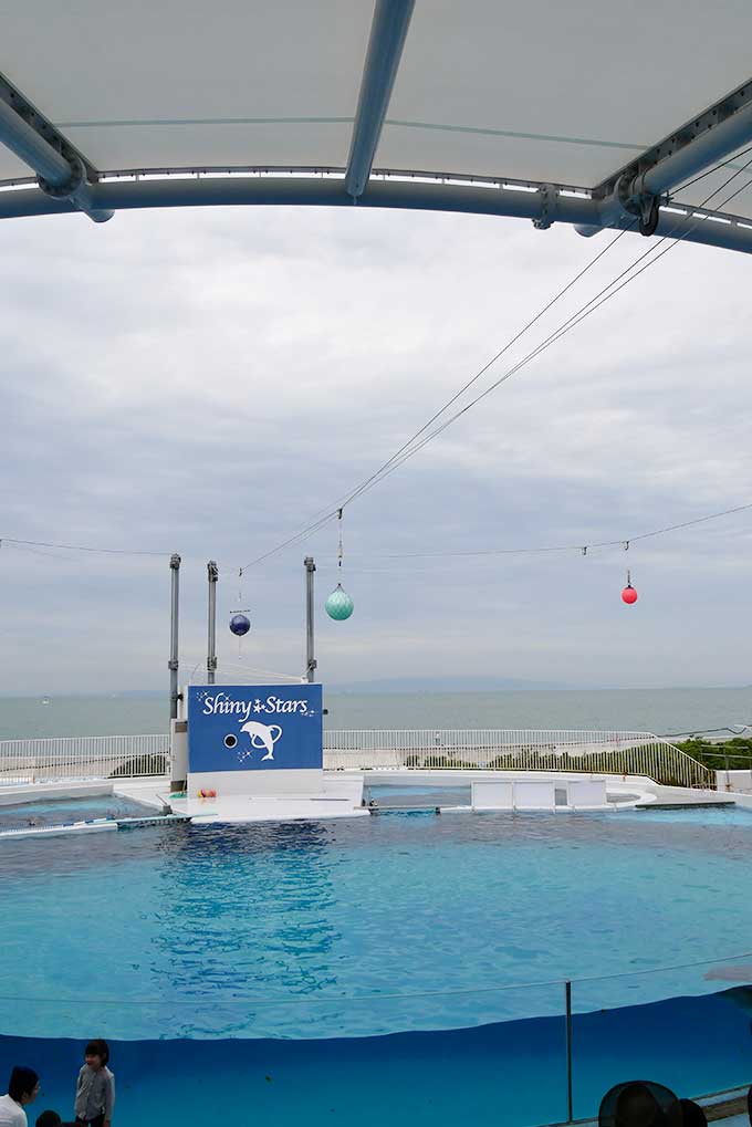 最上段に座ります