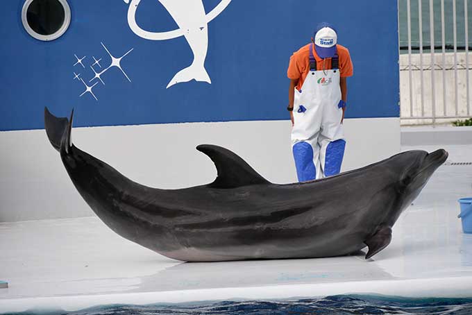 開始のご挨拶!!