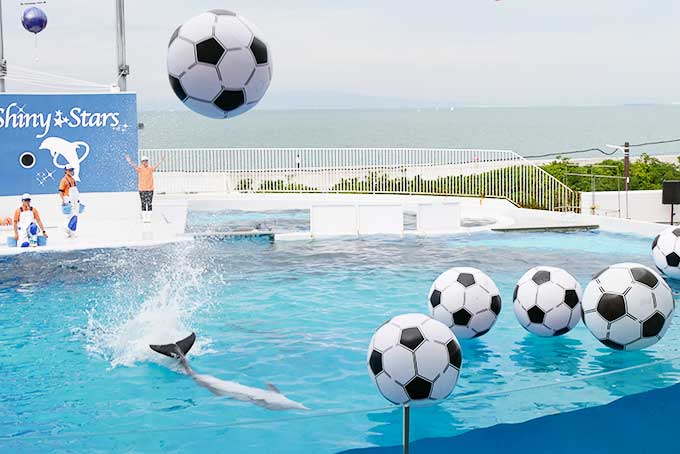 大きなサッカーボールが飛んで来ます