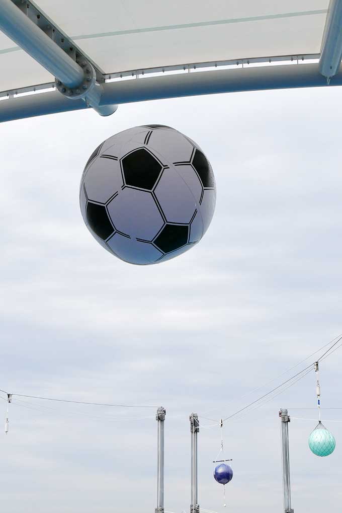 イルカのキック力は凄い!!