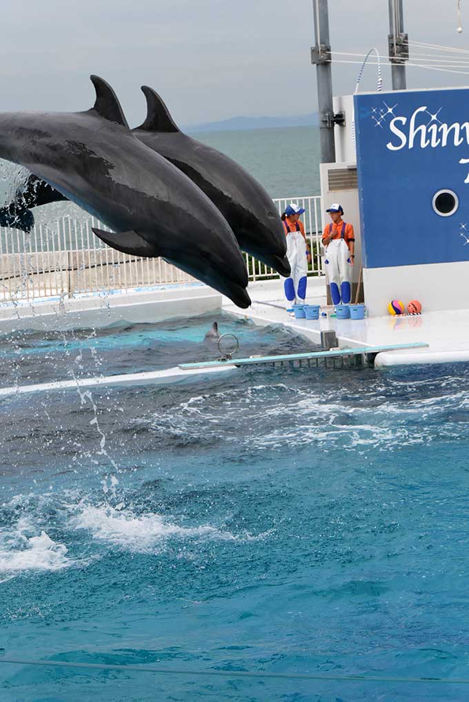 息の揃ったジャンプ!!