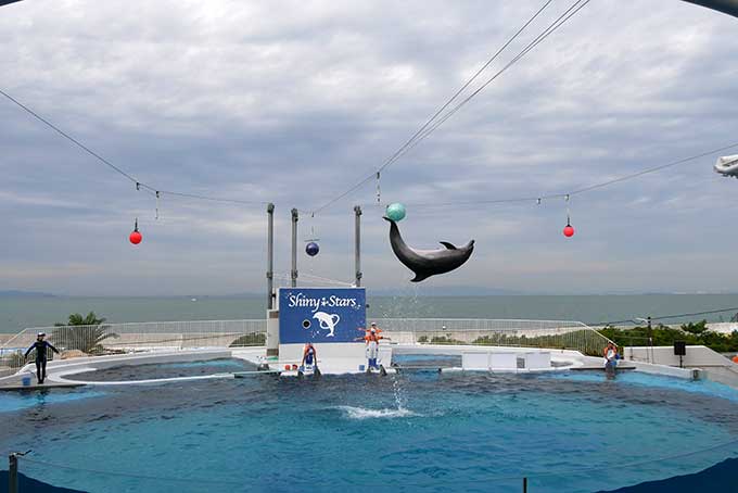 ボールにタッチ!!