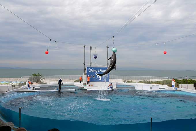 ボールにアタック!!