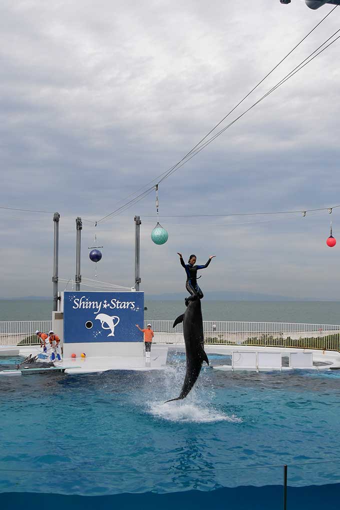 トレーナーさんとのスーパージャンプ!!