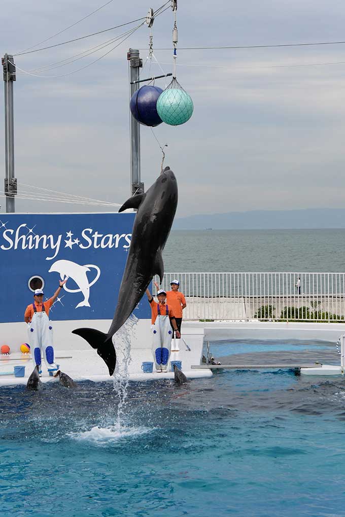 フィナーレが近づき…