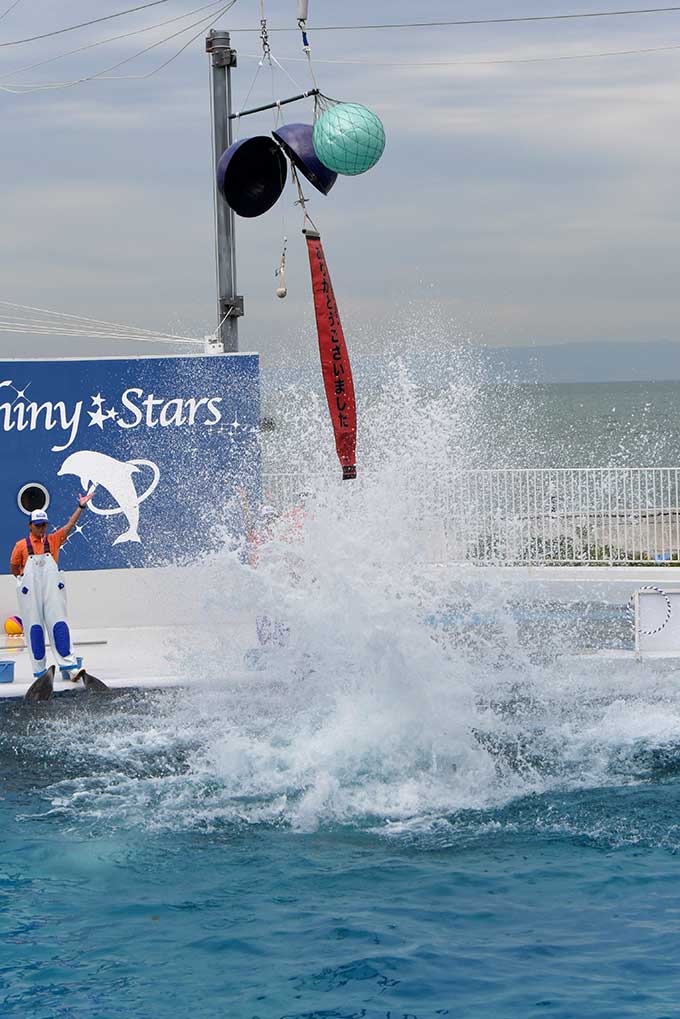 くす玉を割ります!!