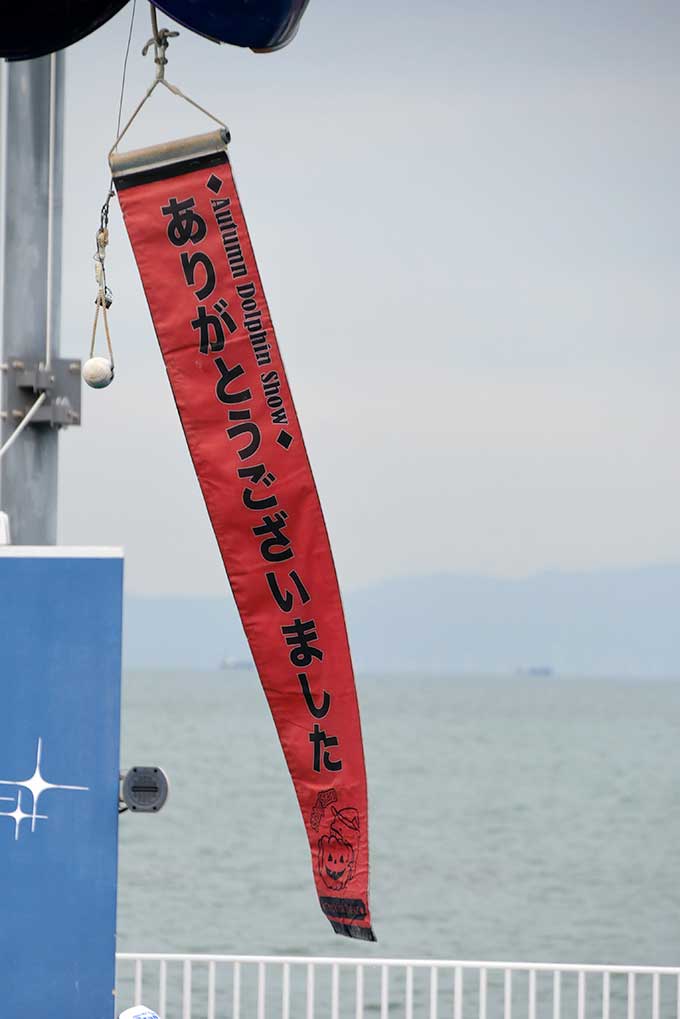 ありがとうのご挨拶が!!