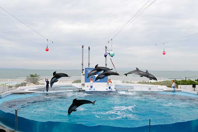 感動のフィナーレ!!