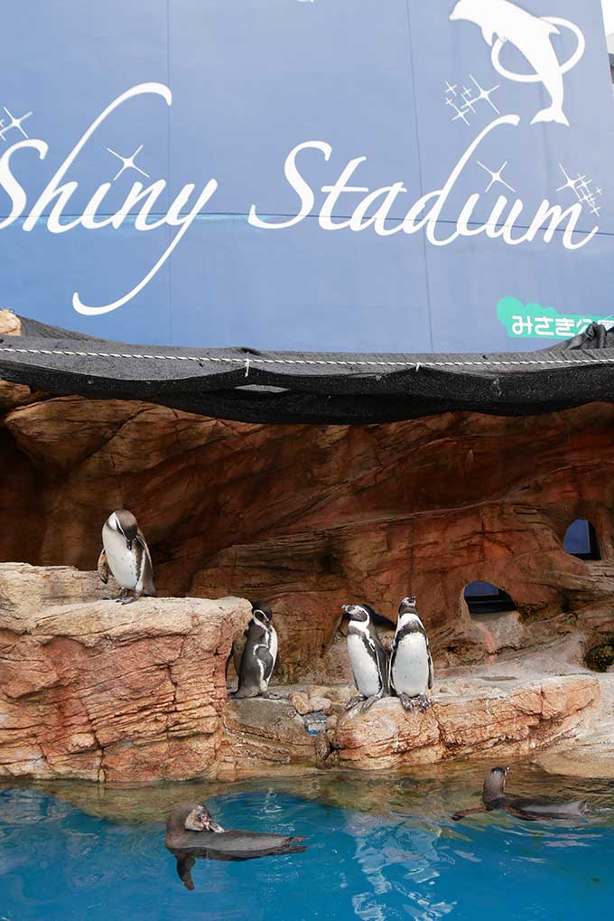 シャイニースタジアムを後に!!