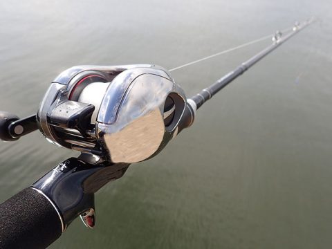 久しぶりの岸ジギに出掛けるも…