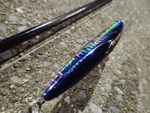 久しぶりの釣り場に出掛けるも…