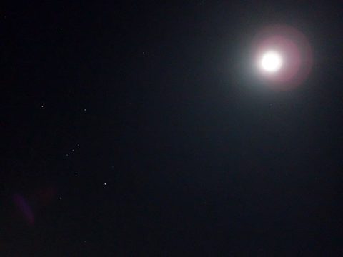 10/21日前後に夜間~深夜釣行を予定されているアングラーさんへ