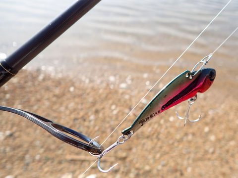 期待を持って釣りに出掛けるも…