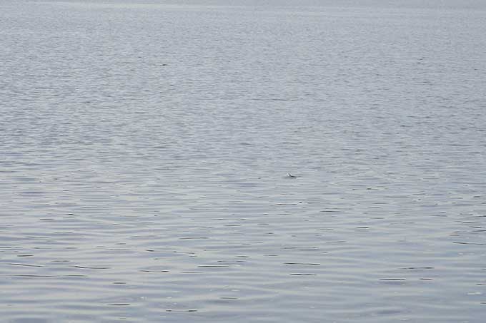 一瞬だけ潮目が