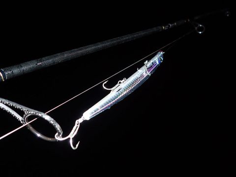 シャロー!ベイト薄いぞ!サヨリ、何やってんの!!