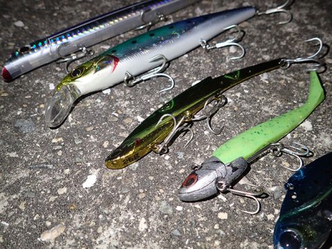 4年ぶりに神戸方面へ!ベイトの多さに驚き!!