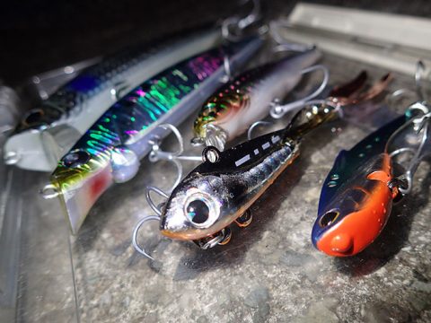 深夜のスイムチェックと明暗釣行!!