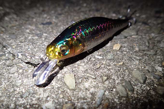 X-80SW Shallow使いやすい!!