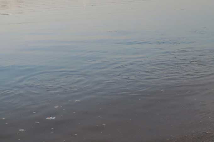 イナッコの波紋も見やすい!!