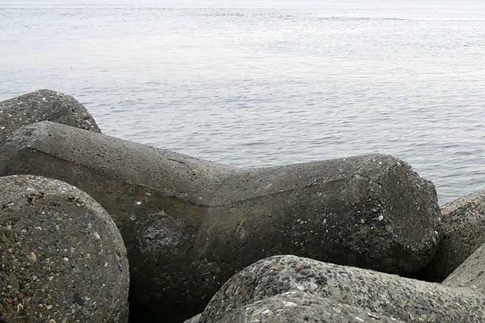 潮目に沿ってシーバスが移動