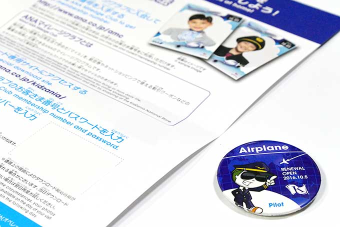 パイロットの写真をダウンロード