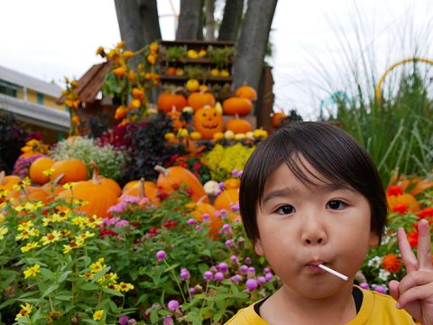 長島リゾートを満喫!ながしまスパーランドのハロウィン!!