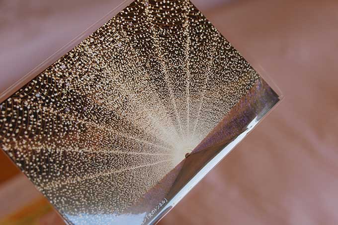 なばなの里の絵葉書