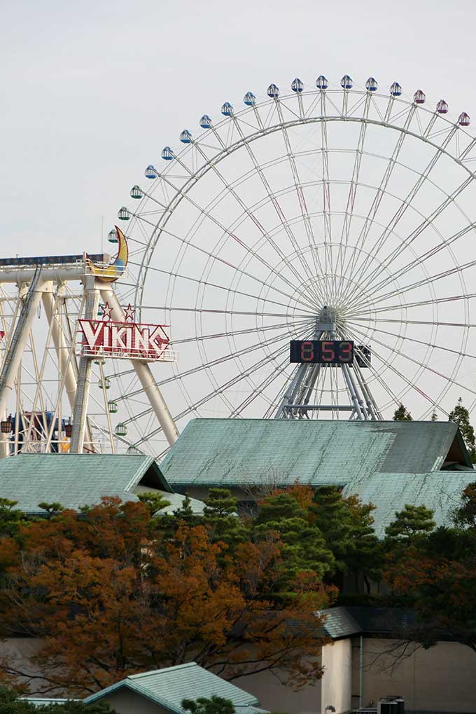 観覧車が見えます