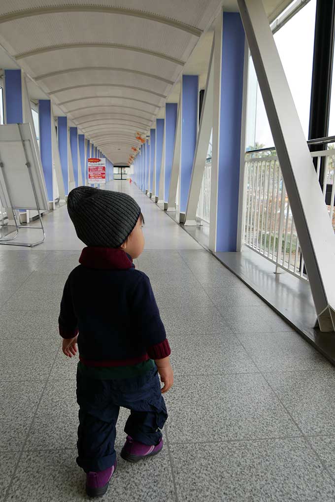 とことこ歩きます