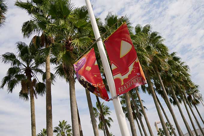 ハロウィン仕様ですね