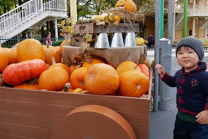 ハロウィンのカボチャ