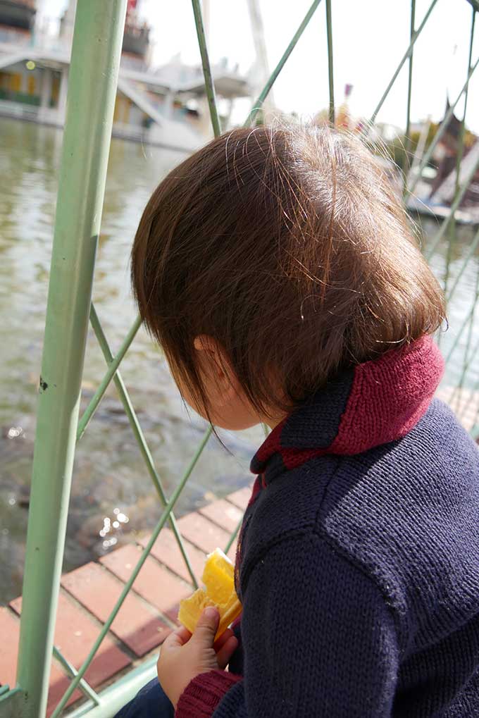 鯉に餌をあげてます