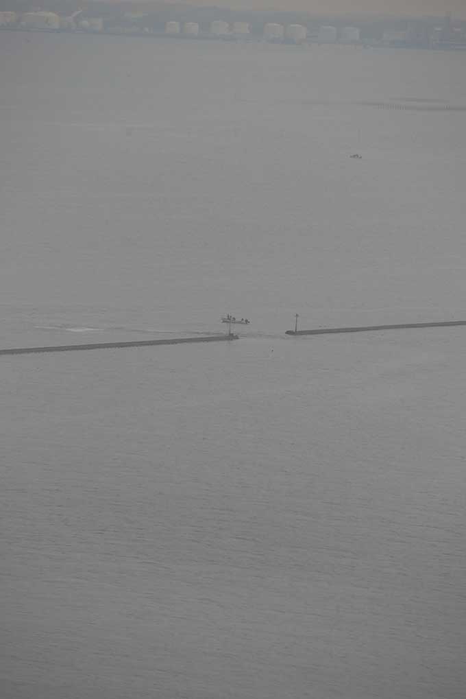 シーバスの居そうな場所