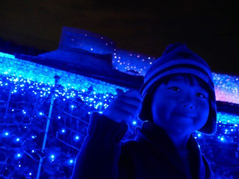 【なばなの里】2016年『大地』に感動!温泉と食事と混雑状況!!