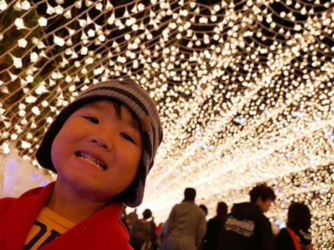 【なばなの里】招待チケット入手!光のイルミネーションは最高!!