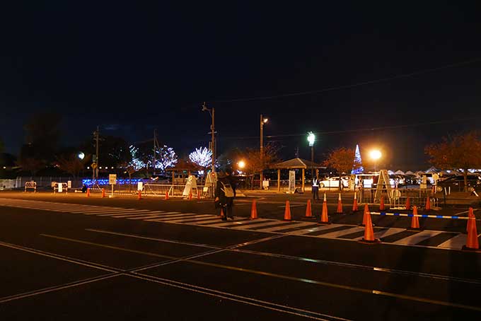 イルミネーションが見えています