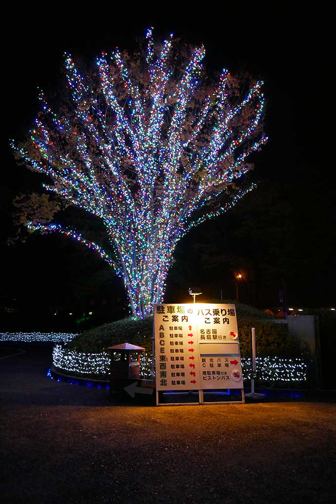 入場前から既に綺麗