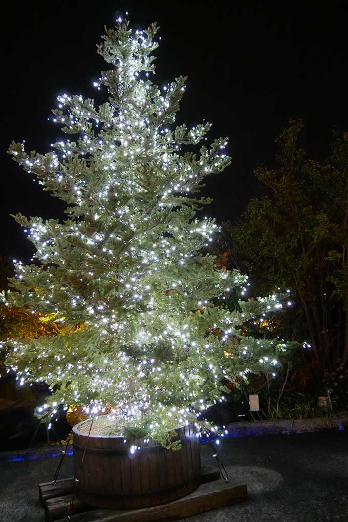 綺麗なイルミネーション