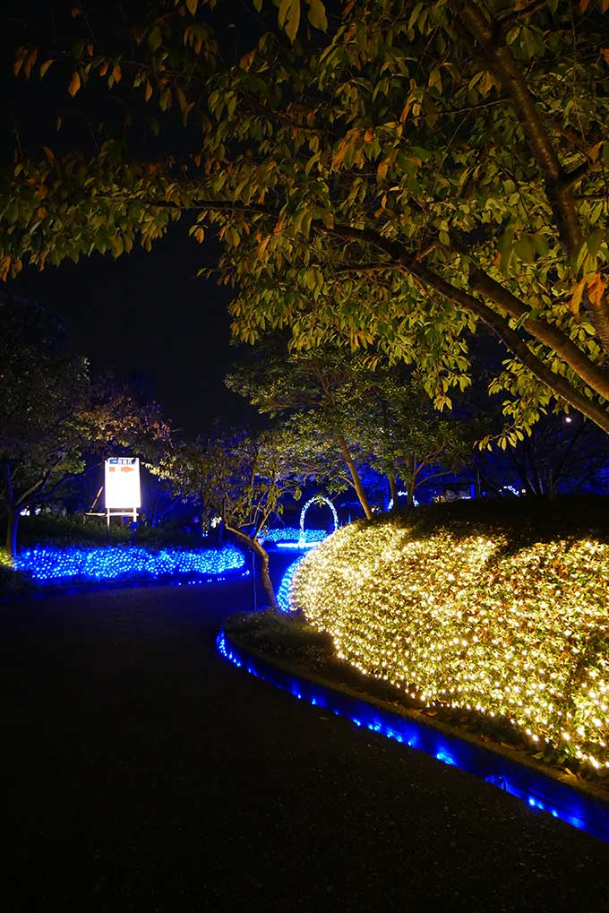 順路もライトアップされています