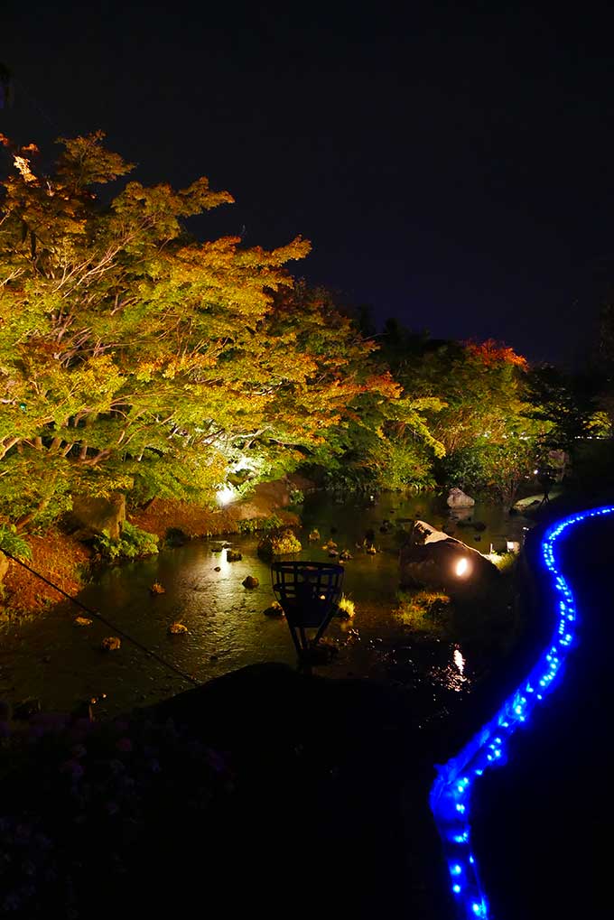 日本庭園風のライトアップ