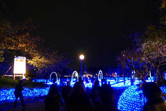 光の雲海に到着