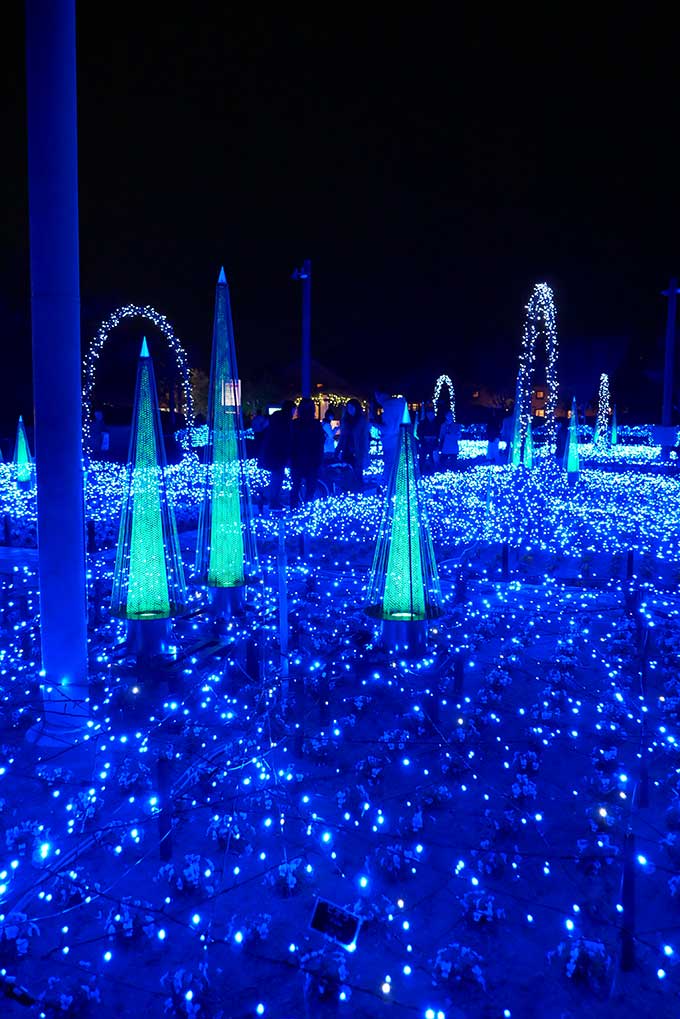 幻想的な光の雲海に感動!!