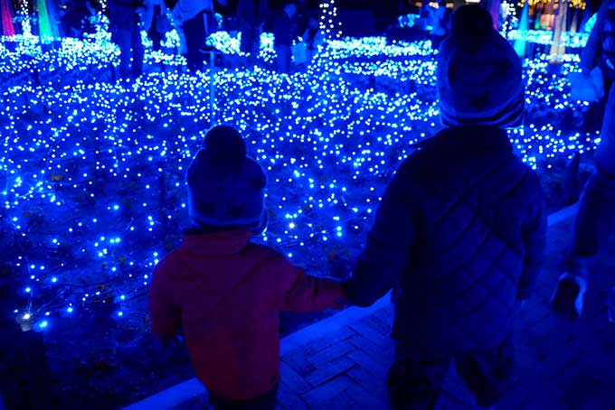 迷子にならないよう次男君の手を取って