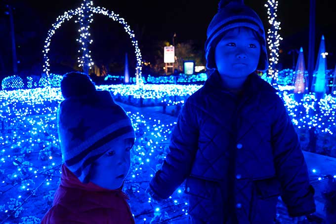 本当に綺麗なブルー色