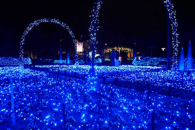 見ていて飽きない光の雲海